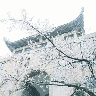 北京昌平六人违反防疫规定被刑事立案侦查