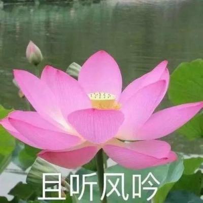 【境内疫情观察】浙江新增74例本土病例（12月12日）